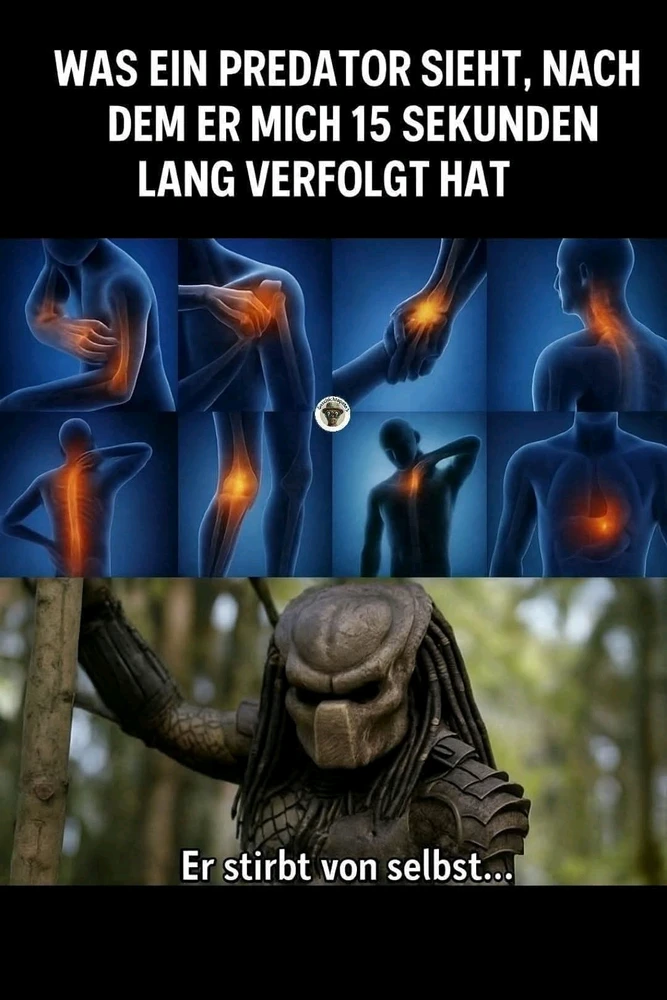 GIF hochgeladen von René