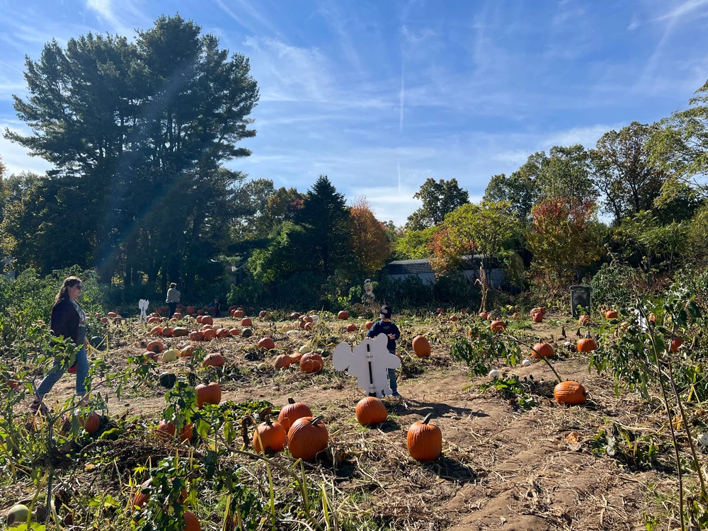 I love a fun day out!