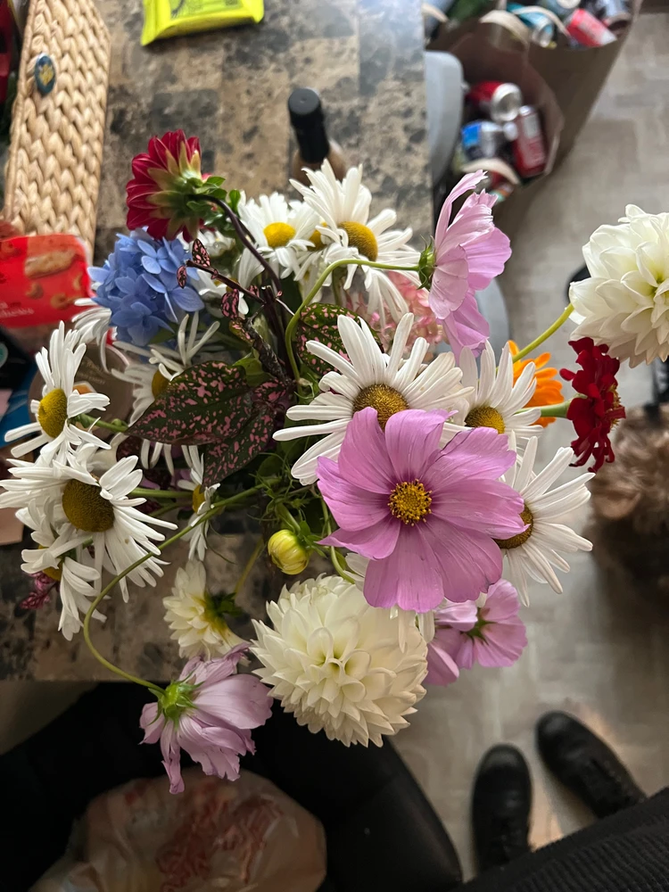 I love a fun day out!