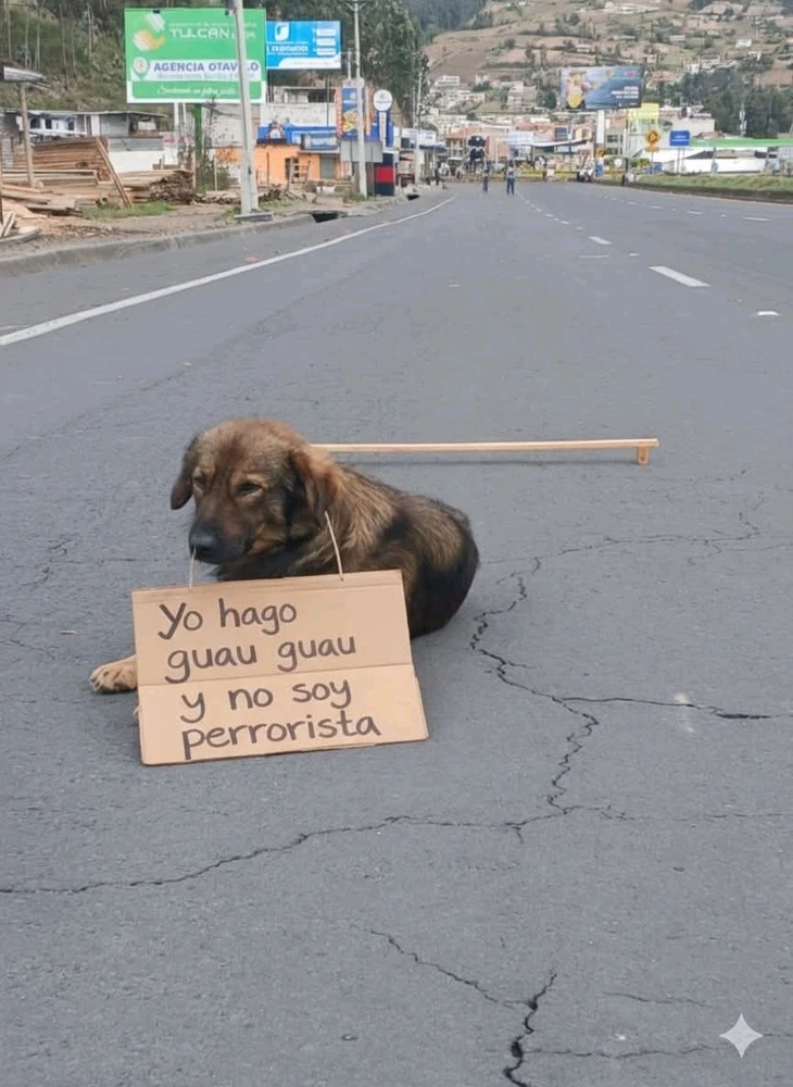 GIF subido por Enver