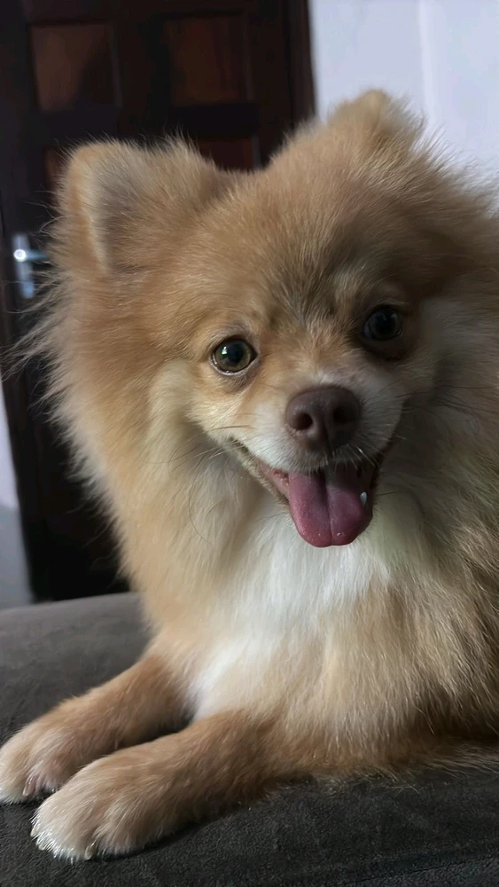 Imagem enviada por Daphne