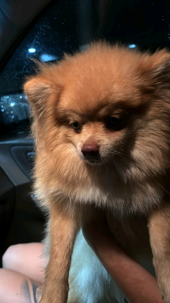 Imagem enviada por Daphne