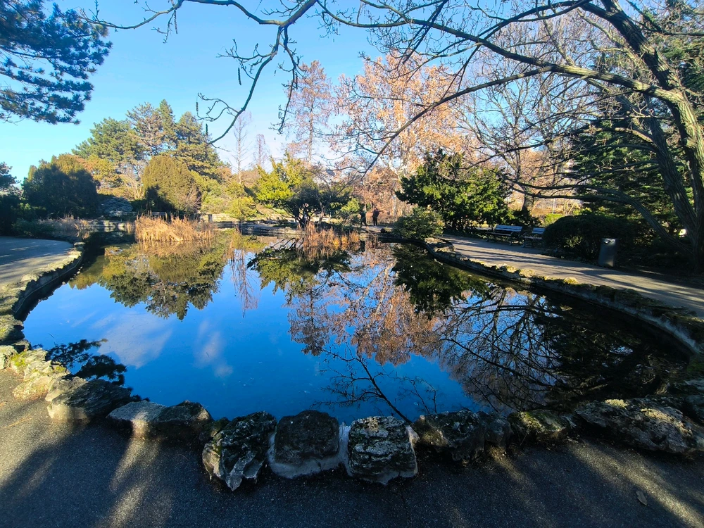 Nick上传的GIF
