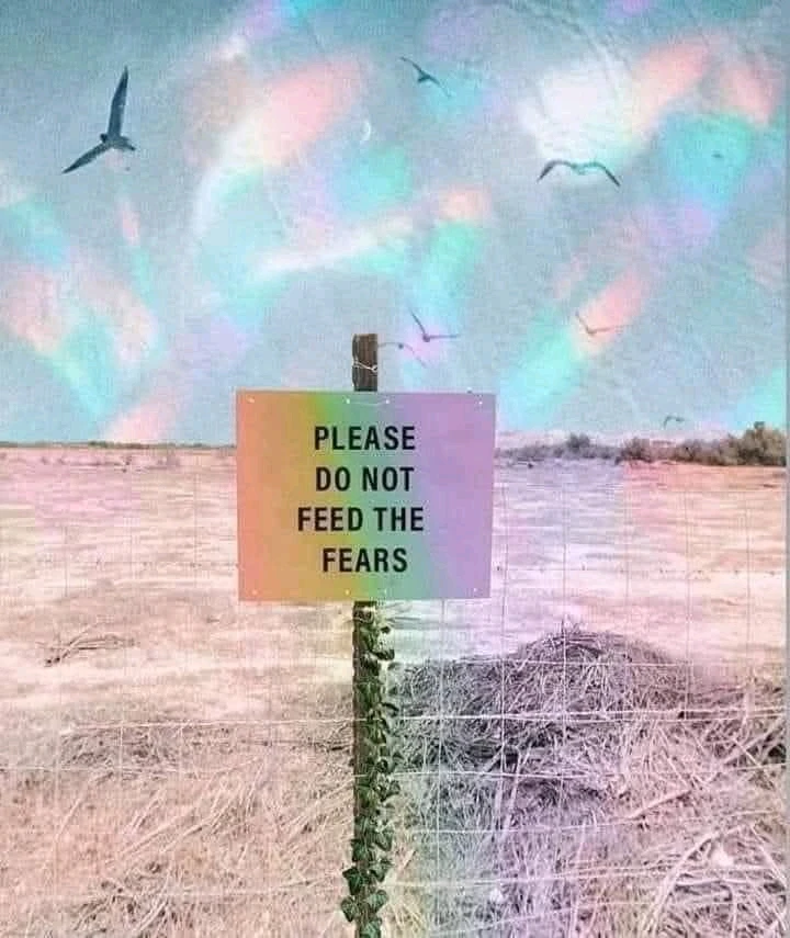 GIF hochgeladen von Lorenzo von Matterhorn