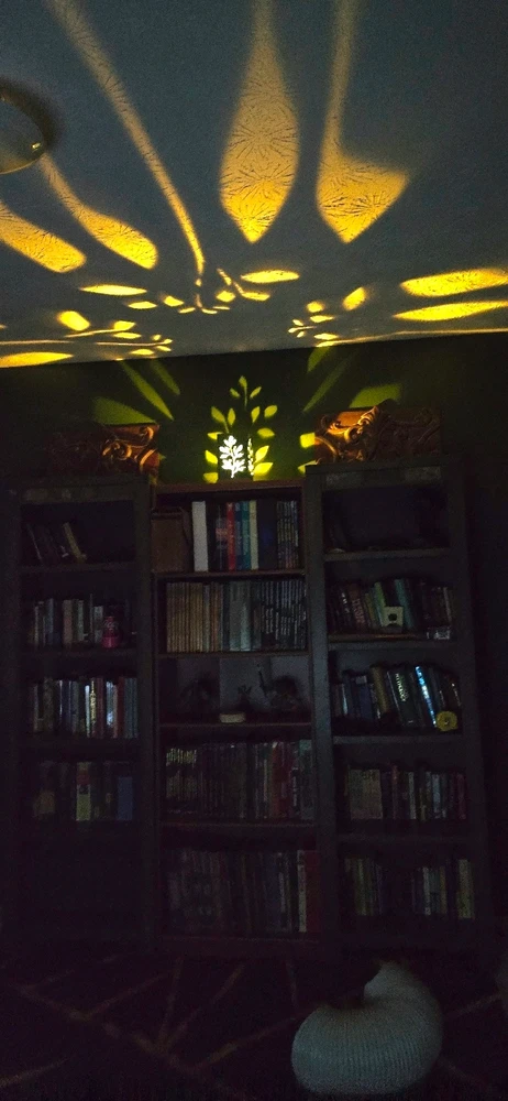 Image uploaded by Jamie