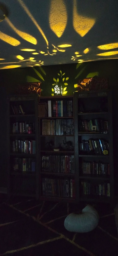 Image uploaded by Jamie