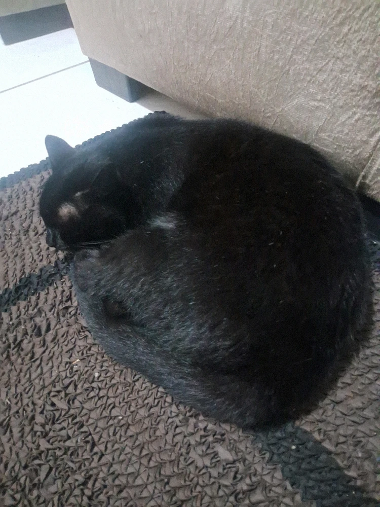 GIF enviado por Gabriel Guimarães