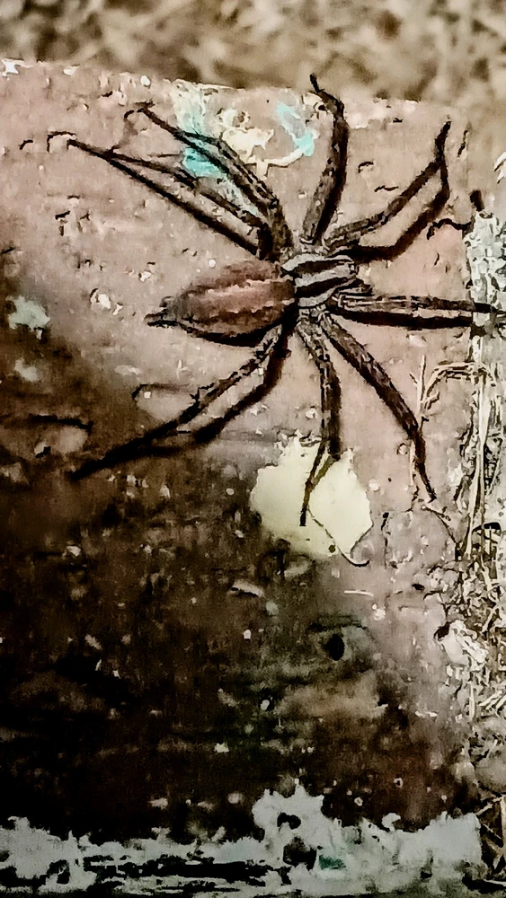 GIF diunggah dening Reo