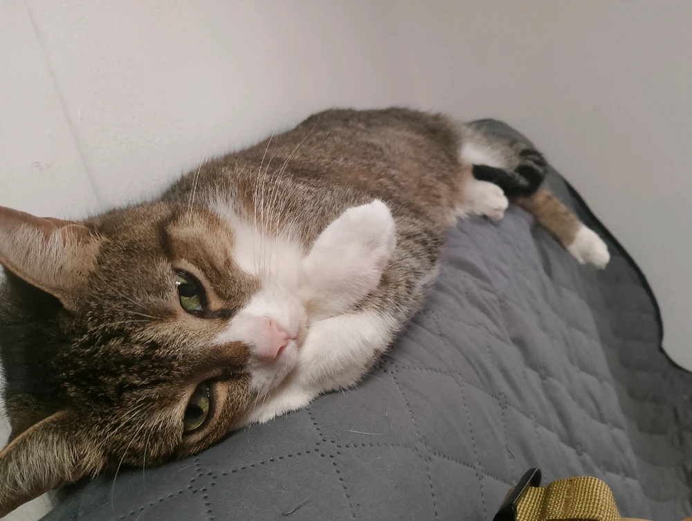 GIF uploaded by Christopher