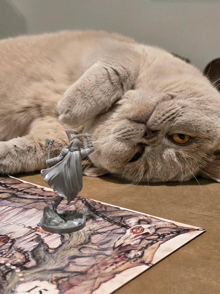 Cat Boss Defeated!