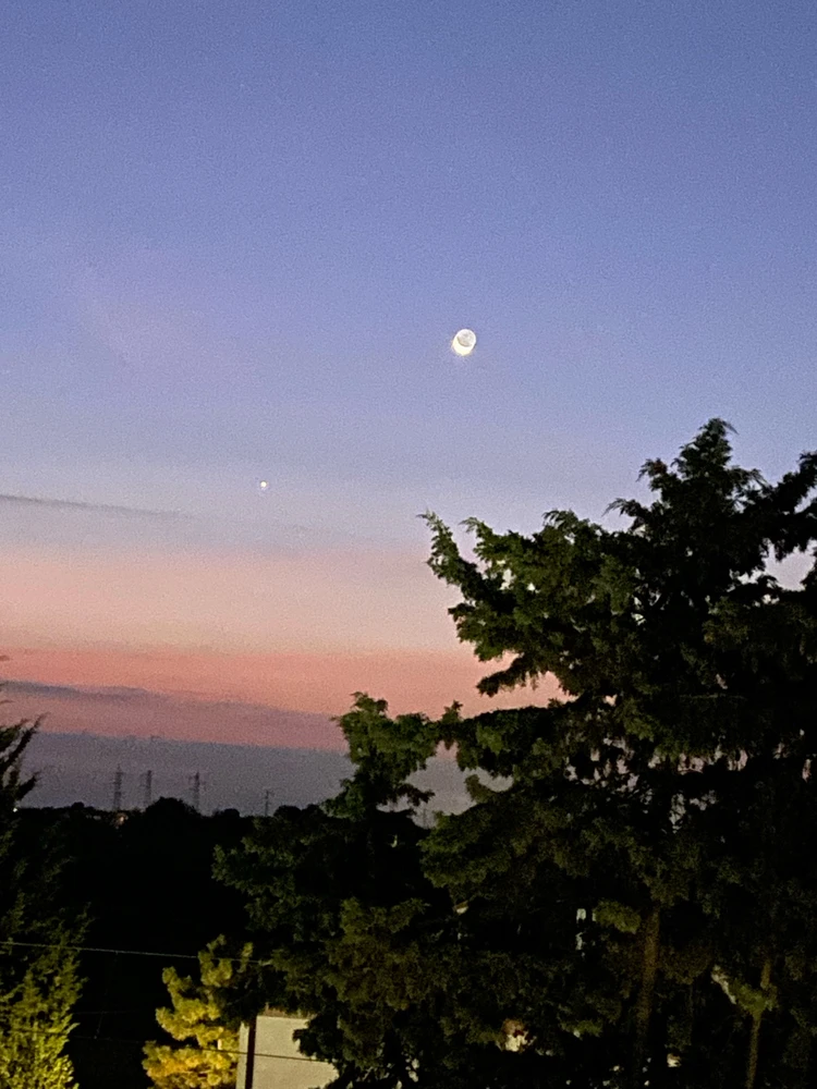 GIF caricata da Lolly