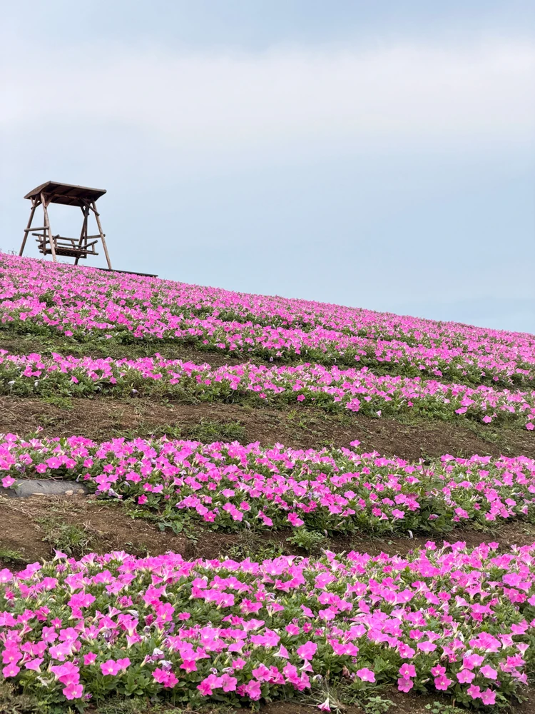 Some shots from my recent trip to Kyoto!~