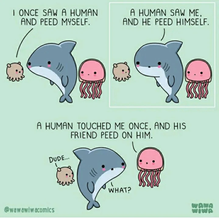 GIF hochgeladen von Marron