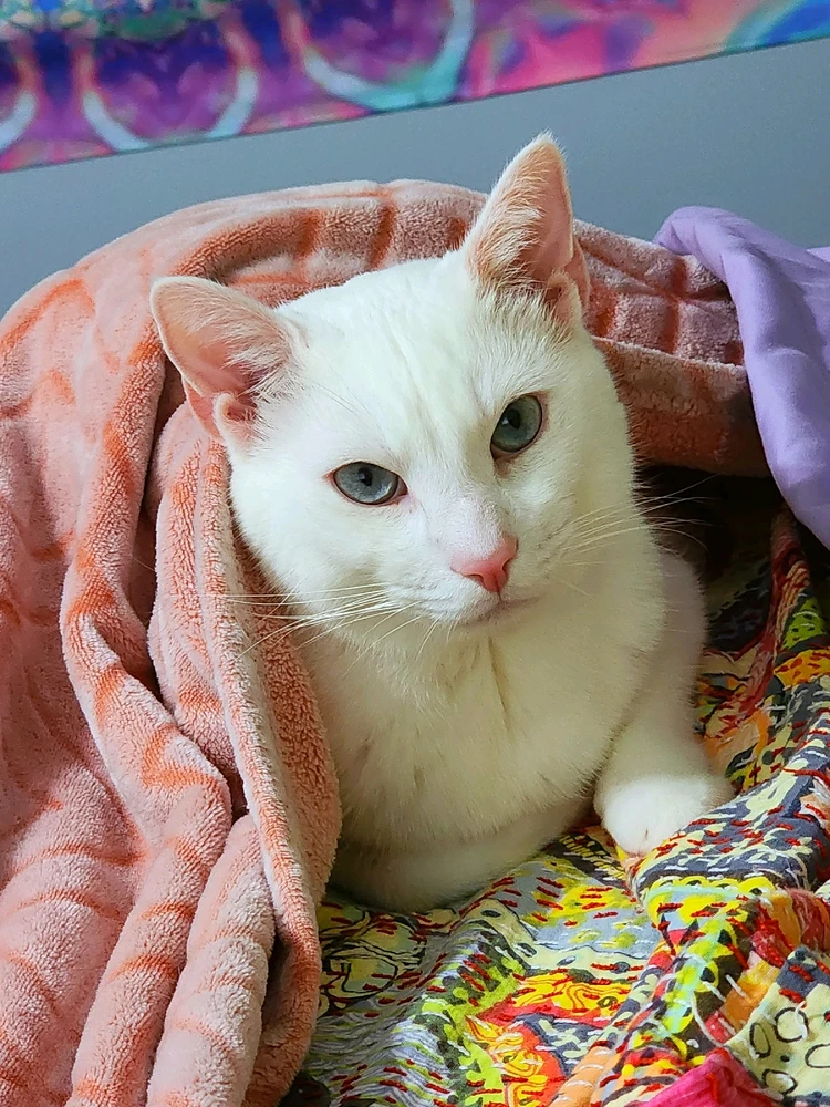 Image uploaded by Krysta 🌸🌿