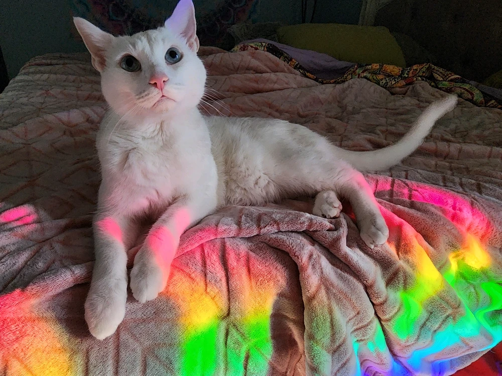 Image uploaded by Krysta 🌸🌿