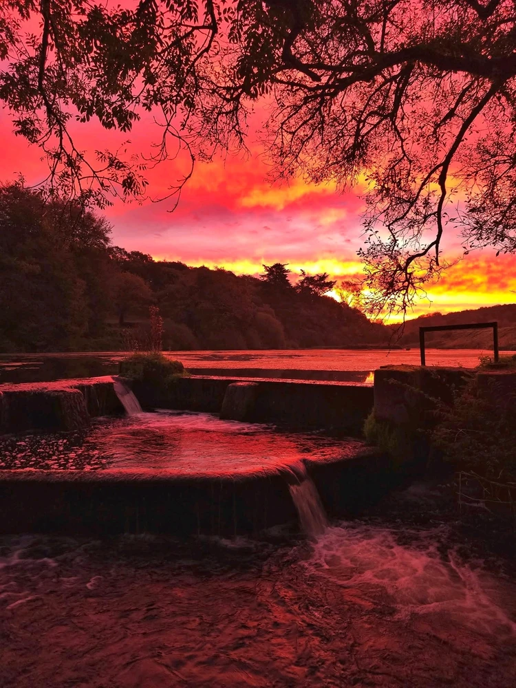 GIF ajouté par Dorian🐞