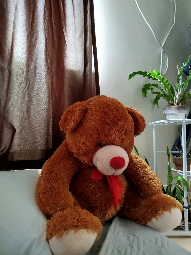 Image uploaded by Erryn