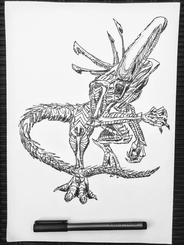 Have a great Sunday guys