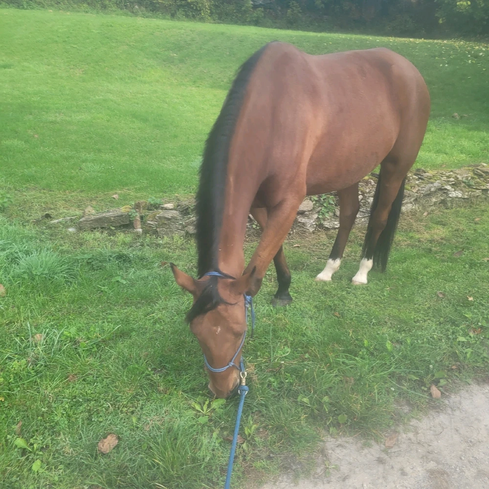 Image ajoutée par Natacha