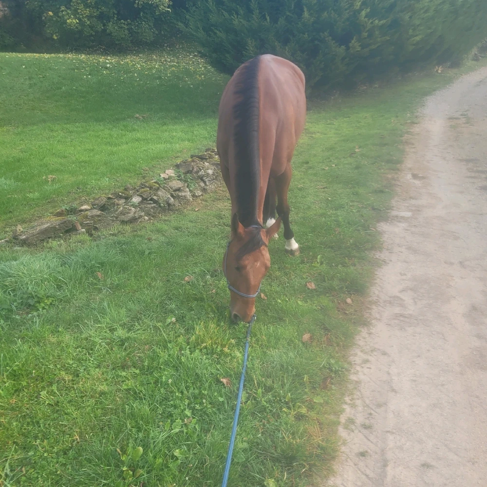 Image ajoutée par Natacha