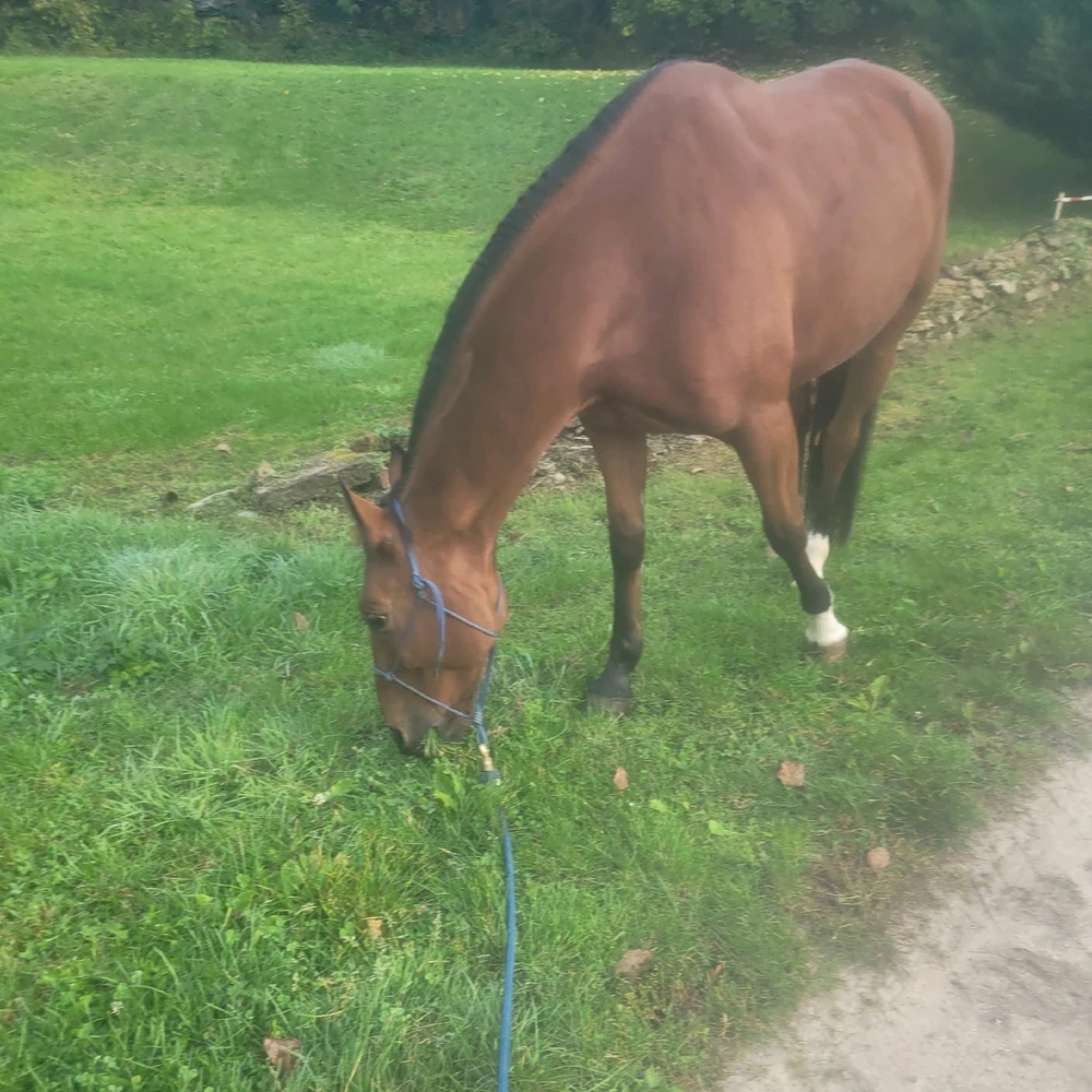 Image ajoutée par Natacha