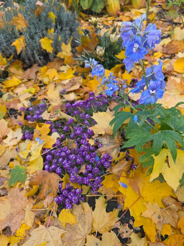 GIF dodany przez Umberto