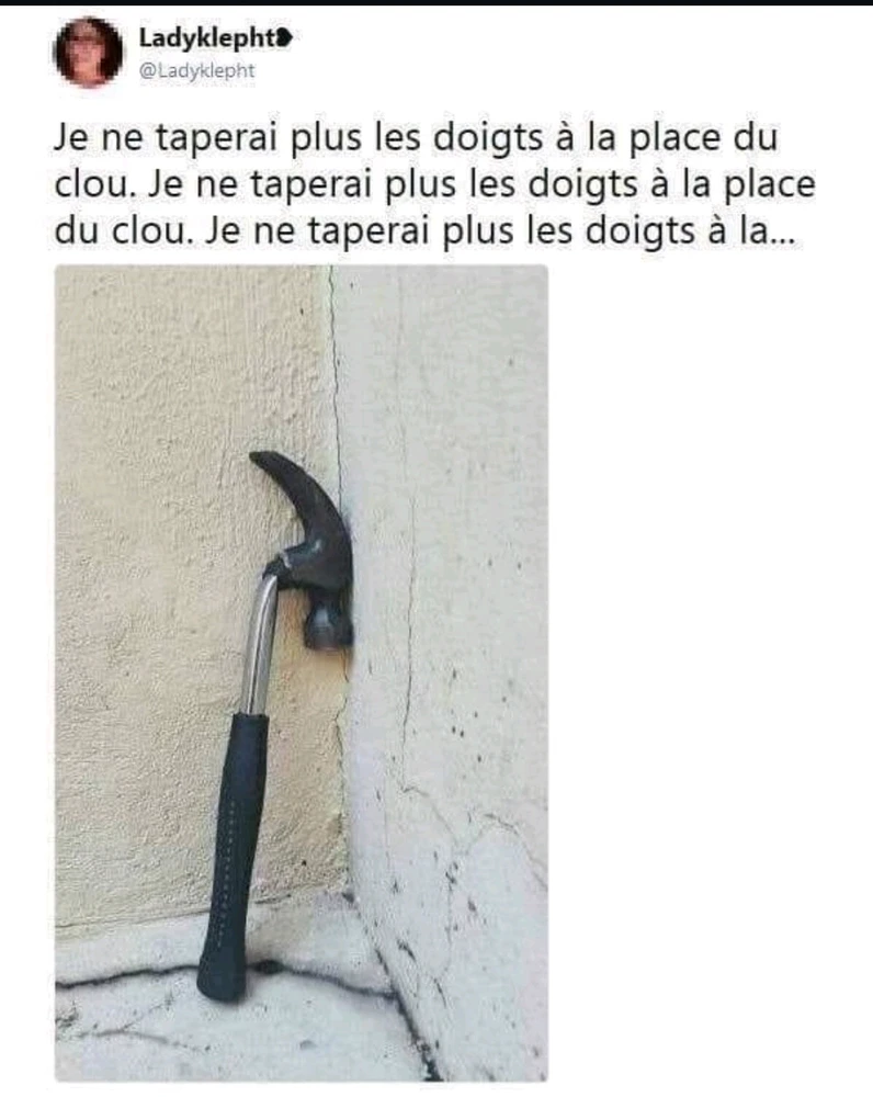 Petit marteau était en pleine tempête émotionnelle 🤣