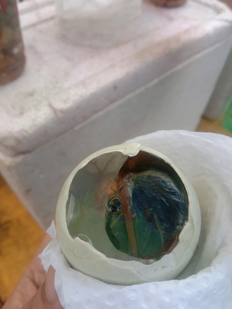 Image uploaded by Grace