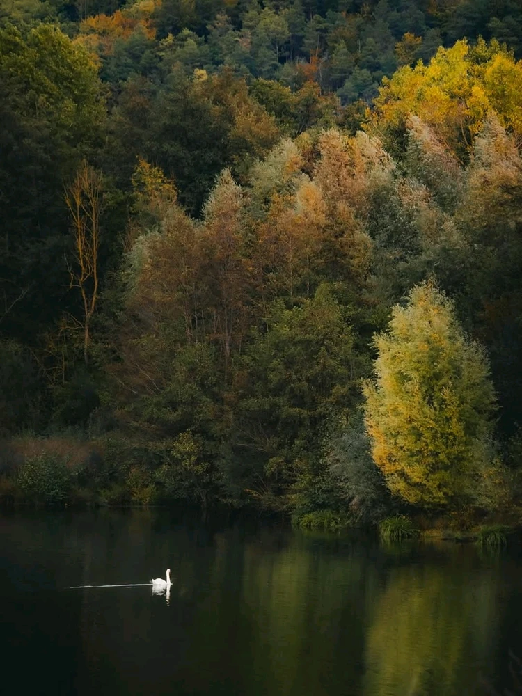L’automne 🤩 Normandie