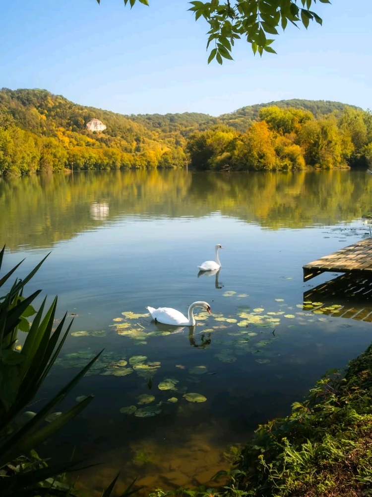 Un petit coin de paradis 🤩 Normandie