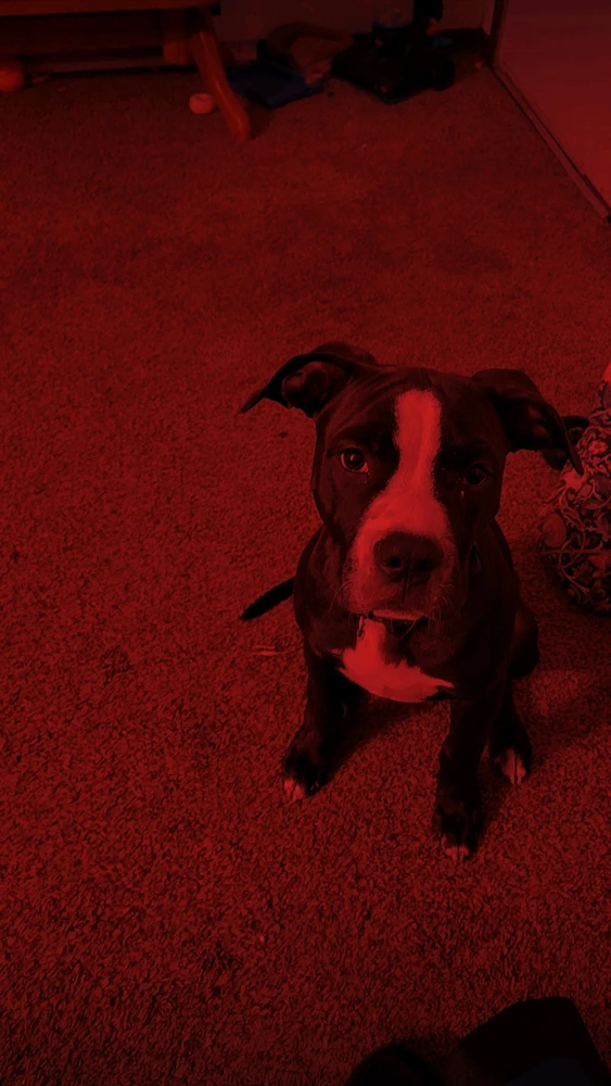 Image uploaded by Justin Hillman