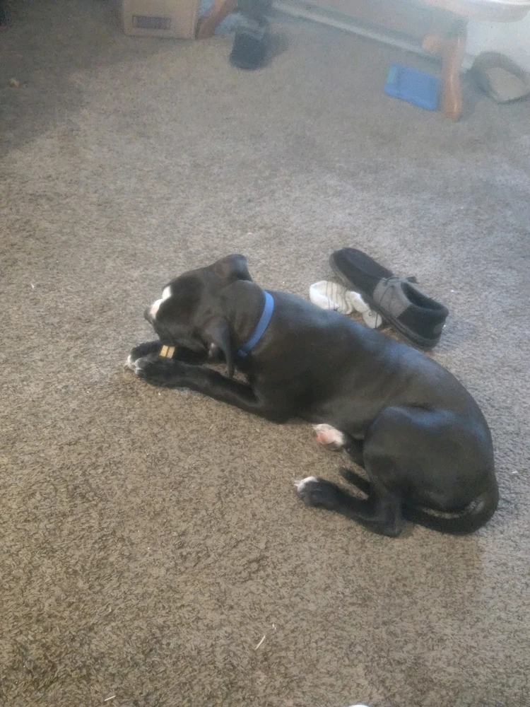 Image uploaded by Justin Hillman