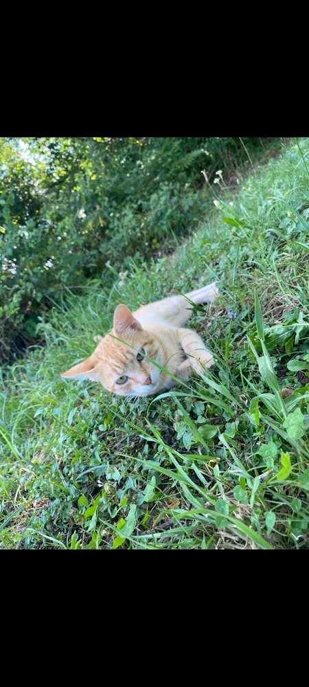 GIF postavljen od Saša