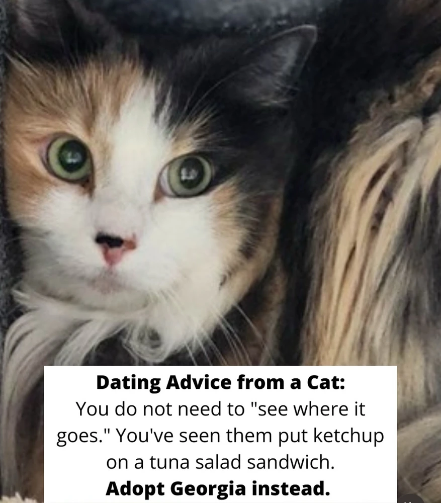 Image uploaded by 🌙✨ℳℯ𝓁𝒶𝓃𝒾𝓆𝓊ℯ✨🌙