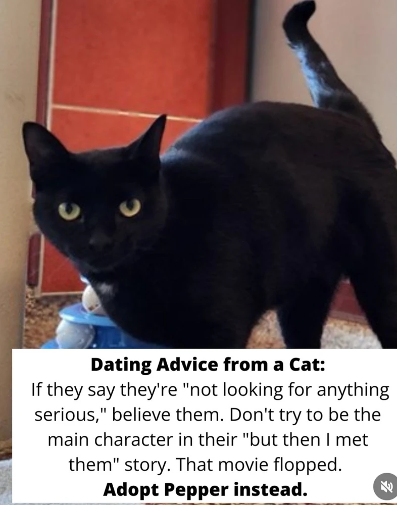 Image uploaded by 🌙✨ℳℯ𝓁𝒶𝓃𝒾𝓆𝓊ℯ✨🌙