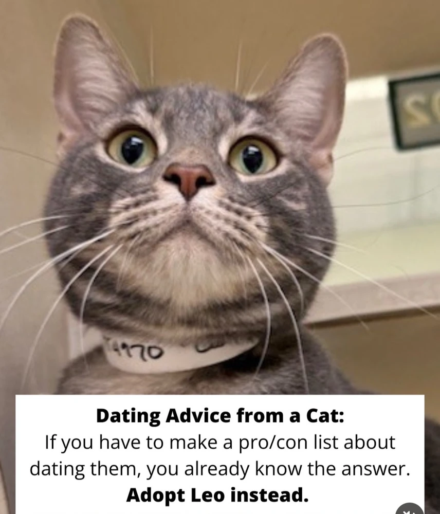 Image uploaded by 🌙✨ℳℯ𝓁𝒶𝓃𝒾𝓆𝓊ℯ✨🌙