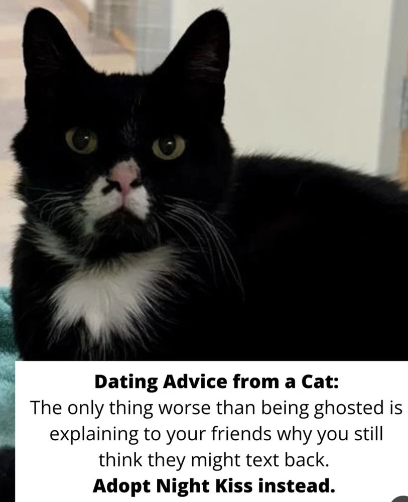 Image uploaded by 🌙✨ℳℯ𝓁𝒶𝓃𝒾𝓆𝓊ℯ✨🌙