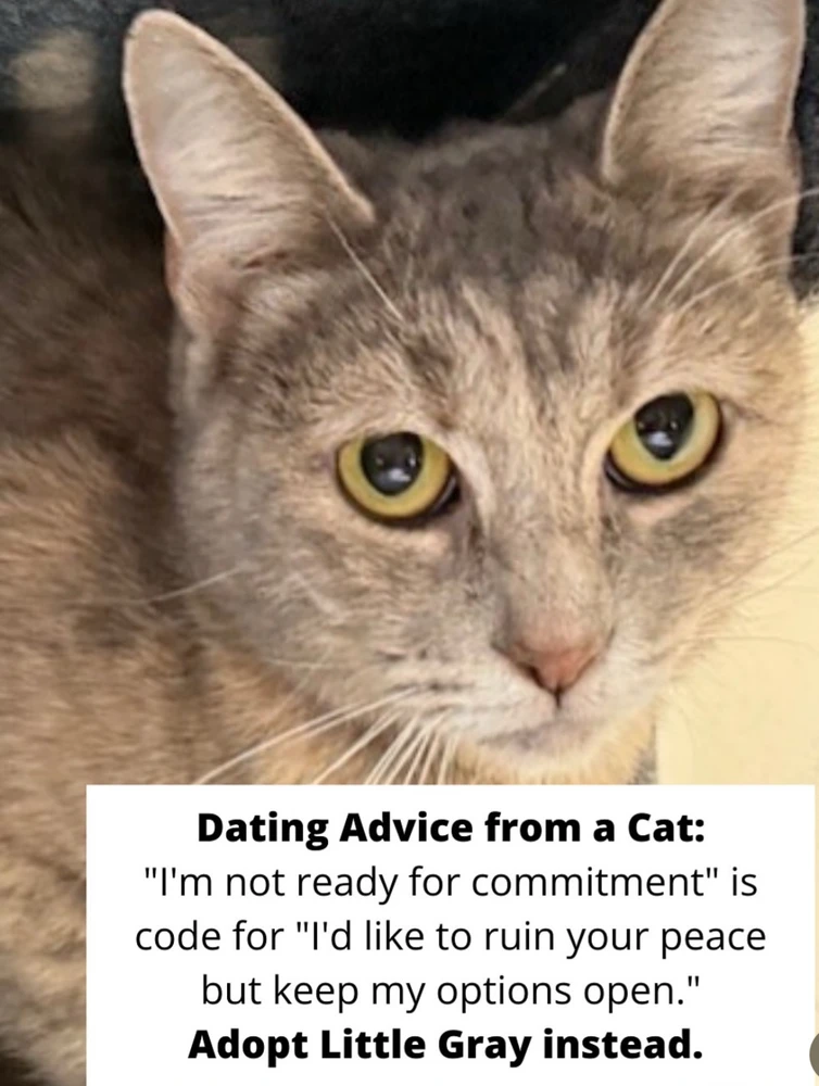 Image uploaded by 🌙✨ℳℯ𝓁𝒶𝓃𝒾𝓆𝓊ℯ✨🌙