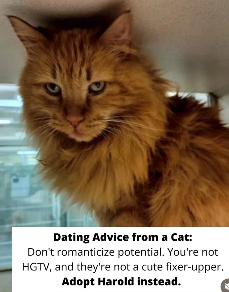 Image uploaded by 🌙✨ℳℯ𝓁𝒶𝓃𝒾𝓆𝓊ℯ✨🌙