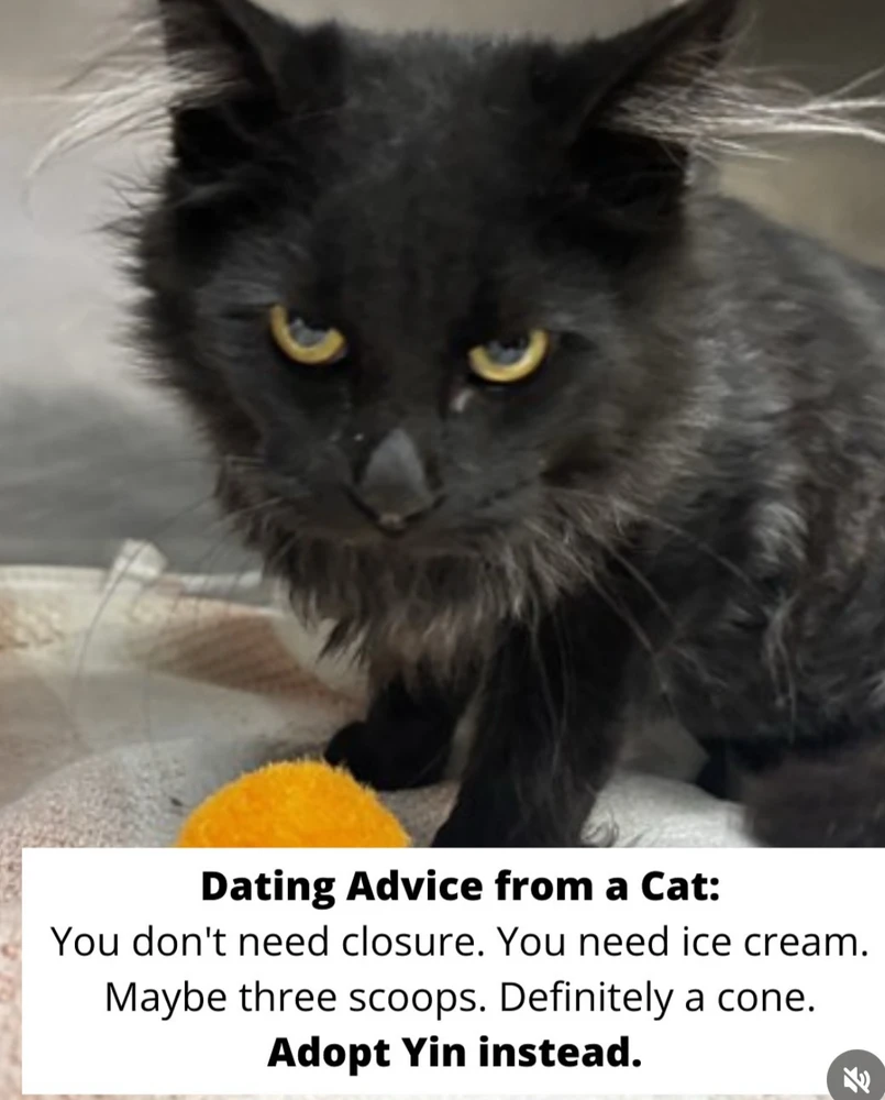 Image uploaded by 🌙✨ℳℯ𝓁𝒶𝓃𝒾𝓆𝓊ℯ✨🌙