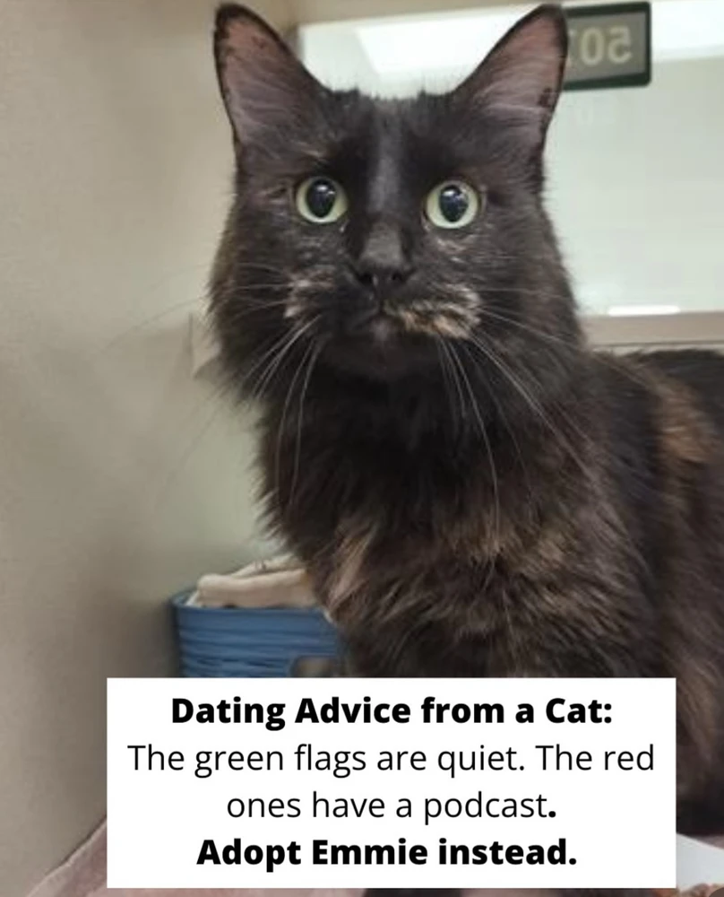 Image uploaded by 🌙✨ℳℯ𝓁𝒶𝓃𝒾𝓆𝓊ℯ✨🌙