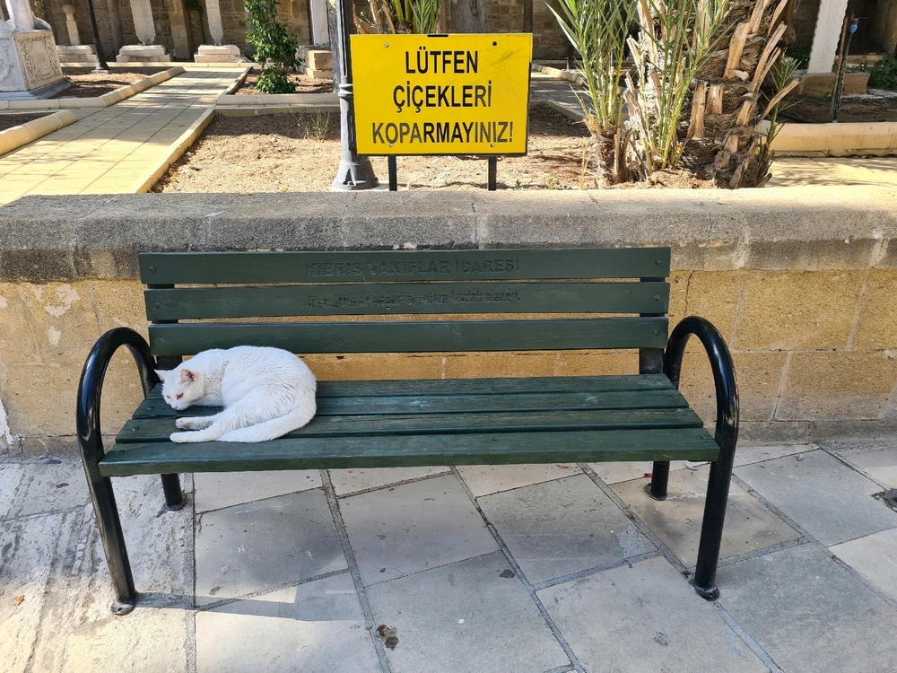 GIF caricata da Gabrio