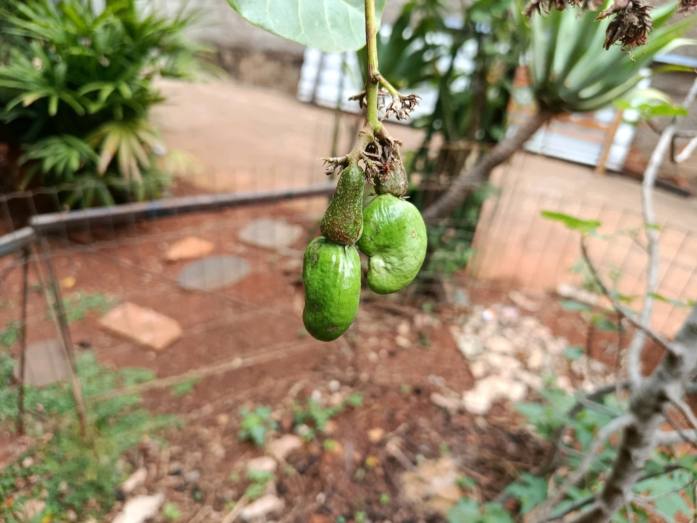 Image uploaded by Jairo