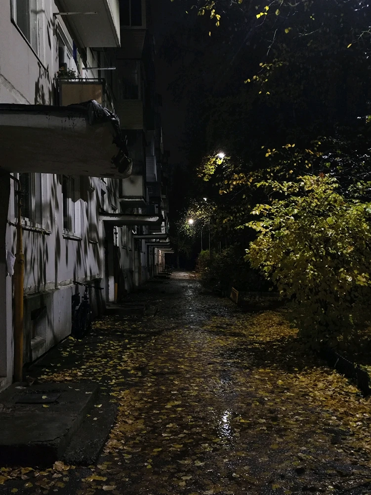 GIF загрузил Елизавета