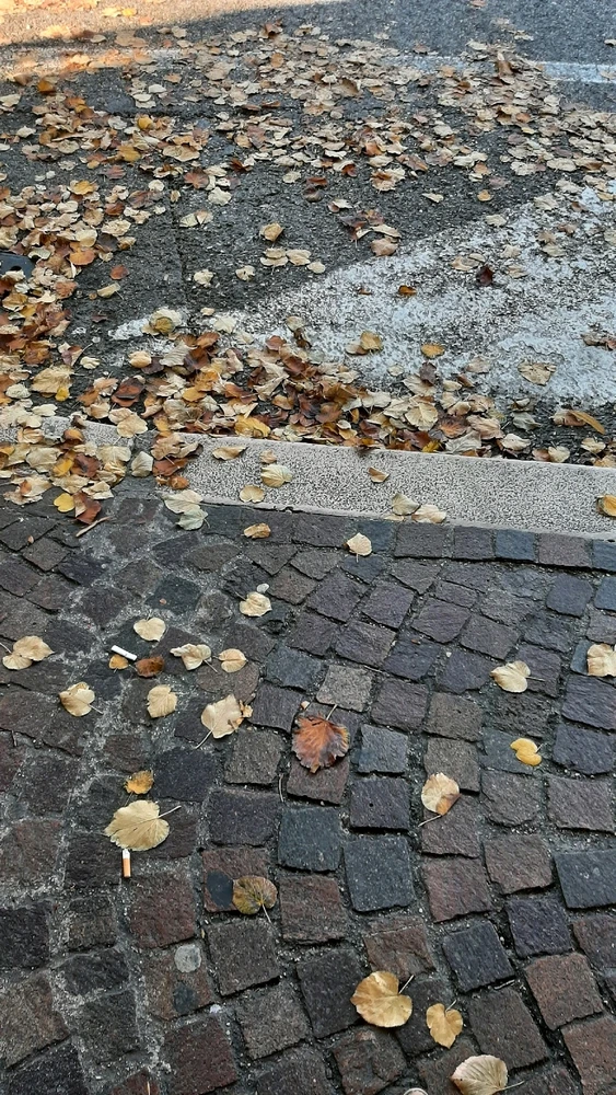 GIF caricata da Arianna