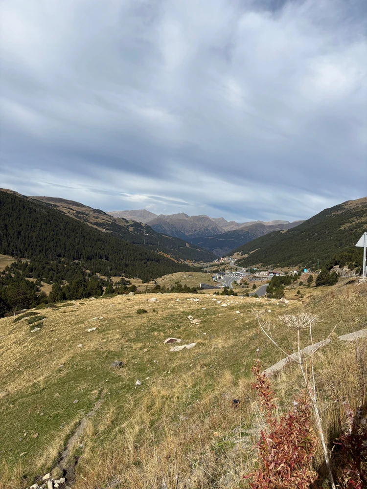 Image uploaded by Manuela