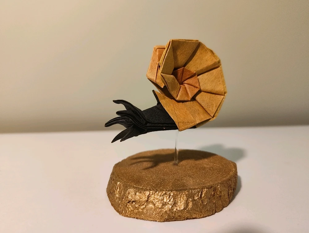 Un nautilus en origami !