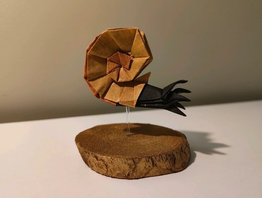 Un nautilus en origami !