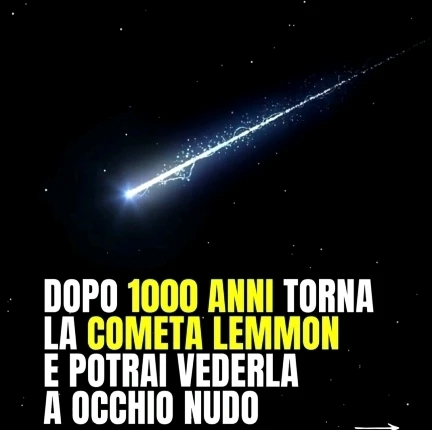 Immagine caricata da CX