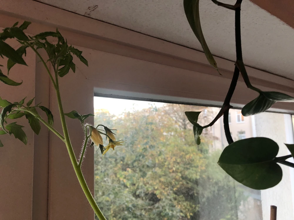 GIF caricata da ⚡️ANOMALOUS⚡️